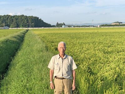 宮城県 渡辺哲也さんのつや姫(年間購入 6kg✕12ヶ月)送料無料