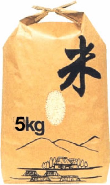 宮城県 渡辺哲也さんのつや姫(年間購入 6kg✕12ヶ月)送料無料